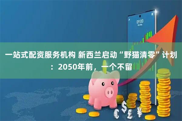 一站式配资服务机构 新西兰启动“野猫清零”计划：2050年前，一个不留