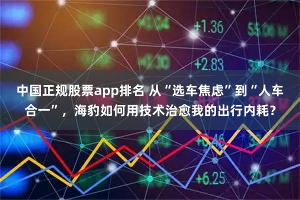 中国正规股票app排名 从“选车焦虑”到“人车合一”，海豹如何用技术治愈我的出行内耗？